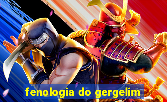 fenologia do gergelim